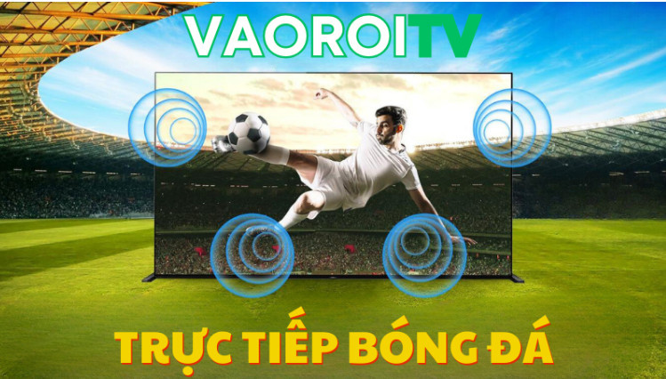 Hướng dẫn cách xem trực tiếp bảng xếp hạng bóng đá tại Vaoroi TV