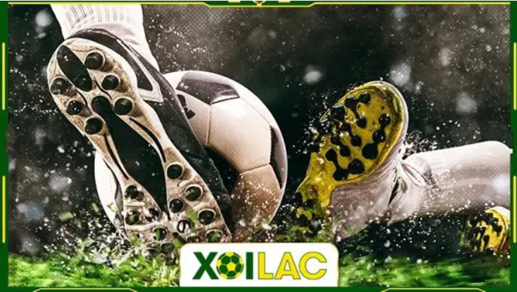 Xoilac TV - Phân tích chuyên môn về các trận đấu bóng đá